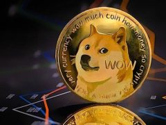 Raoul Palâdan ÃarpÄ±cÄ± Dogecoin Tahmini